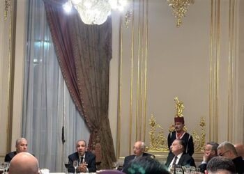 وزير الخارجية يحسم الجدل: لم يطلب أحد من مصر أي مساعدة عسكرية