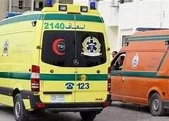 إصابة شخصين في سقوط سيارة داخل حفرة بطريق الفيوم الصحراوي