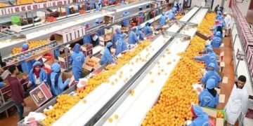 3 وزارات تدرس بدائل لشحن الصادرات سريعة التلف بعد إغلاق المجال الجوي بدول عربية