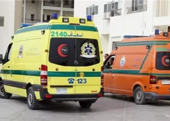 إصابة رئيس محكمة الأسرة ببنها في حادث انقلاب سيارة بالدقهلية