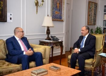 وزير الخارجية: إصلاح الهيكل المالي الدولي ضرورة لمواجهة التحديات الاقتصادية