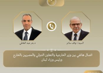 وزير الخارجية يجدد تضامن مصر مع لبنان ويؤكد ضرورة وقف التصعيد بالمنطقة