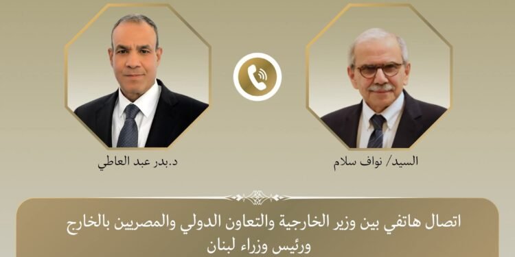 وزير الخارجية يجدد تضامن مصر مع لبنان ويؤكد ضرورة وقف التصعيد بالمنطقة