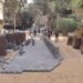 محافظ الجيزة: تطوير ورصف 17 شارعًا بحي العجوزة ضمن الخطة الاستثمارية