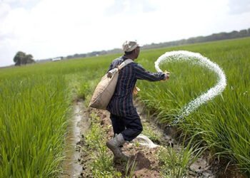 بشرى للفلاحين.. مد فترة صرف أسمدة الموسم الشتوي حتى 7 أبريل