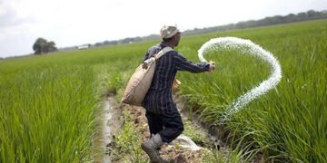 بشرى للفلاحين.. مد فترة صرف أسمدة الموسم الشتوي حتى 7 أبريل