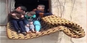 حجز بطلتي واقعة “أطفال مرتبة الإسكندرية”.. الأم بتهمة الإهمال والمصورة لعدم الإغاثة