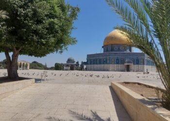 الاحتلال يواصل إغلاق المسجد الأقصى لليوم الـ17