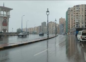 الأرصاد: طقس بارد صباحًا.. حار على جنوب الصعيد مع شبورة وأمطار خفيفة غدًا السبت