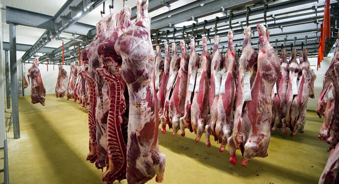 تباين أسعار اللحوم اليوم في الأسواق.. انخفاض الضاني والبتلو وارتفاع طفيف للكندوز