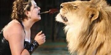 إخلاء سبيل لوبا الحلو بكفالة 20 ألف جنيه في واقعة هجوم أسد على طفلة