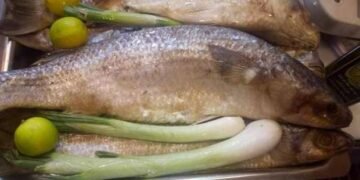 ضبط 3 أطنان أسماك فاسدة وشطب 249 مخالفة تموينية في حملات مكبرة بالمنوفية