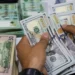 استقرار سعر الدولار اليوم السبت في البنوك المصرية