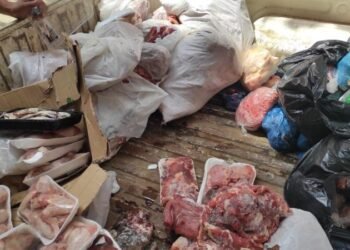 ضبط أكثر من 3 أطنان دواجن مجهولة المصدر وإغلاق مجزر غير مرخص بالمنوفية