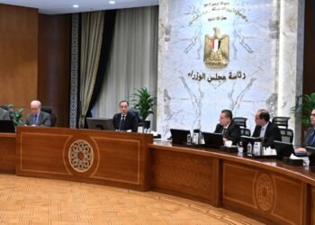 تفاصيل الإجراءات الحكومية لضبط الطاقة والأسواق