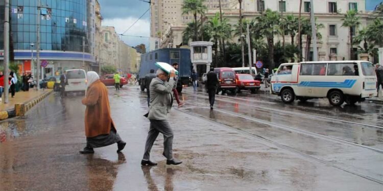 طقس الثلاثاء.. شبورة صباحًا وأمطار متفرقة ورياح مثيرة للأتربة