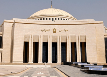 مطالب برلمانية لإعادة تفعيل مبادرة سيارات المصريين بالخارج