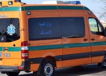 القبض على سائق ميكروباص طعن ضابط شرطة أثناء عودته من عمله