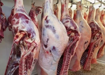 تراجع ملحوظ في أسعار اللحوم الحمراء اليوم الإثنين 13 أبريل 2026
