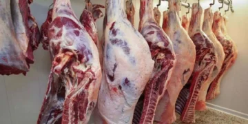 تراجع ملحوظ في أسعار اللحوم الحمراء اليوم الإثنين 13 أبريل 2026