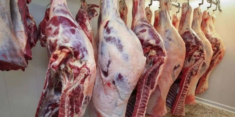 تراجع ملحوظ في أسعار اللحوم الحمراء اليوم الإثنين 13 أبريل 2026