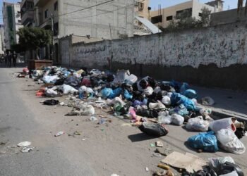 تحذير صحي خطير.. انتشار القوارض يهدد بتفشي أمراض فتاكة في غزة