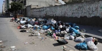 تحذير صحي خطير.. انتشار القوارض يهدد بتفشي أمراض فتاكة في غزة