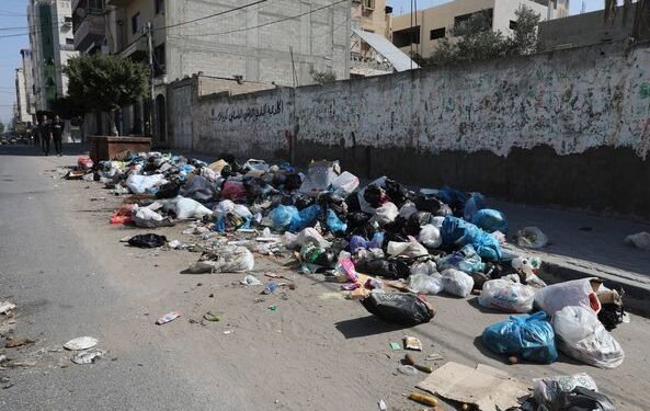 تحذير صحي خطير.. انتشار القوارض يهدد بتفشي أمراض فتاكة في غزة