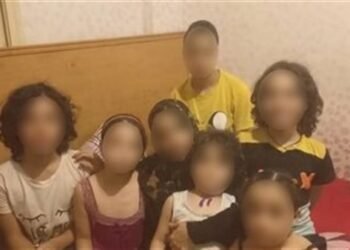 بعد ثبوت عدم اتزانه.. حفظ التحقيقات في قضية ريان قاتل والدته وأشقائه الـ5 بالإسكندرية