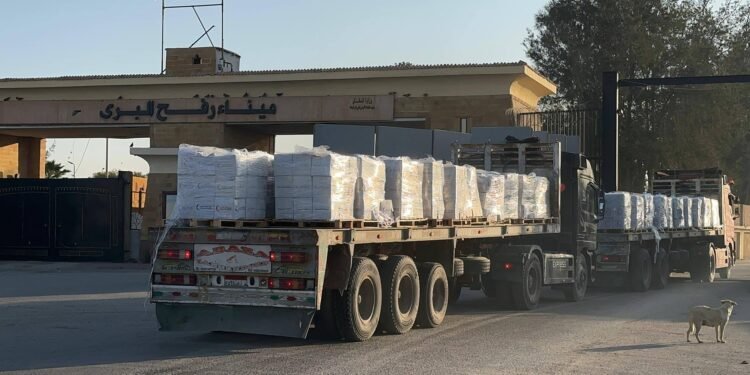 الهلال الأحمر المصري يطلق قافلة "زاد العزة 175" إلى غزة بأكثر من 5 آلاف طن مساعدات