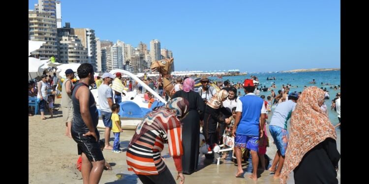 التنمية المحلية تتيح تصاريح مؤقتة للمحال استعداداً لموسم الصيف