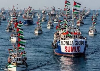 العفو الدولية: انتهاكات إسرائيل هي الخطر الحقيقي على أسطول الصمود