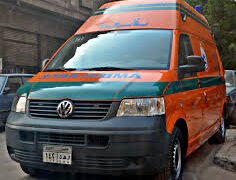 البداري تتشح بالسواد.. وفاة صغيرين في حادث سقوط نخلة