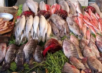 الداخلية تكشف ملابسات القبض على 5 صيادين ببورسعيد