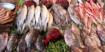 الداخلية تكشف ملابسات القبض على 5 صيادين ببورسعيد