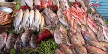 الداخلية تكشف ملابسات القبض على 5 صيادين ببورسعيد
