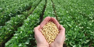 تراجع أسعار الأسمدة اليوم.. انفراجة مرتقبة لتكاليف الزراعة