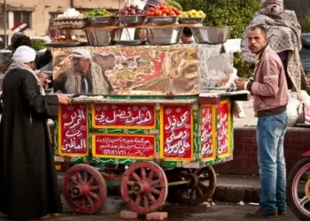 أكل الشارع في القاهرة.. بين التوفير ومخاطر الصحة