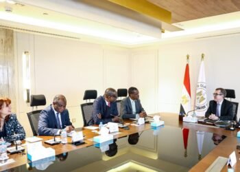 وزير التخطيط : شراكة إفريقية قوية لدعم مشروعات حياة كريمة في القرى