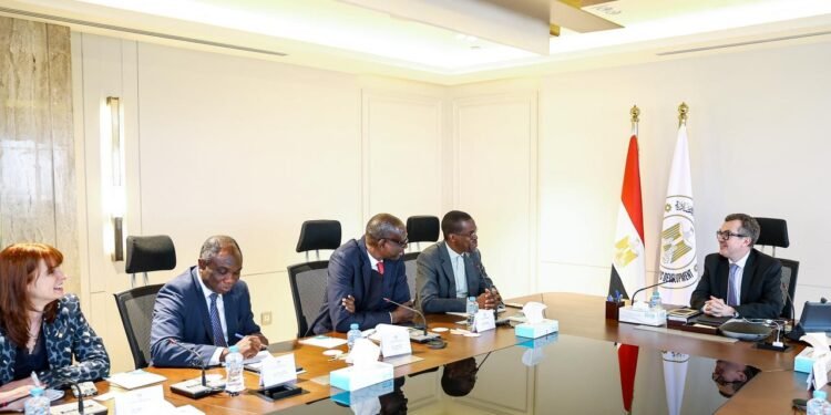 وزير التخطيط : شراكة إفريقية قوية لدعم مشروعات حياة كريمة في القرى