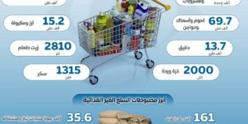 جهاز حماية المستهلك: 2344 حملة رقابية لضبط الأسواق خلال 3 أشهر