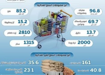 جهاز حماية المستهلك: 2344 حملة رقابية لضبط الأسواق خلال 3 أشهر