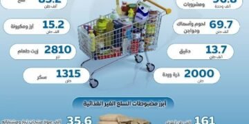 جهاز حماية المستهلك: 2344 حملة رقابية لضبط الأسواق خلال 3 أشهر