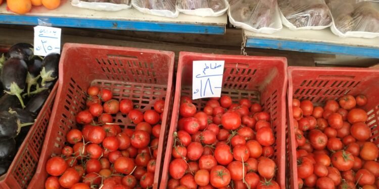 التموين تطرح الطماطم اليوم بسعر 18 جنيها للكيلو في المنافذ