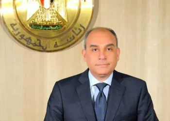 السيرة الذاتية للسفير علاء يوسف رئيس الهيئة العامة للاستعلامات