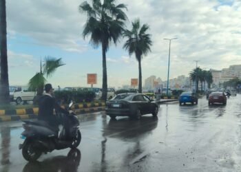 الأرصاد تحذر من شبورة كثيفة وأمطار ورياح غداً الإثنين