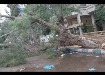 أمطار غزيرة تضرب مطروح والساحل الشمالي