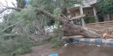 أمطار غزيرة تضرب مطروح والساحل الشمالي