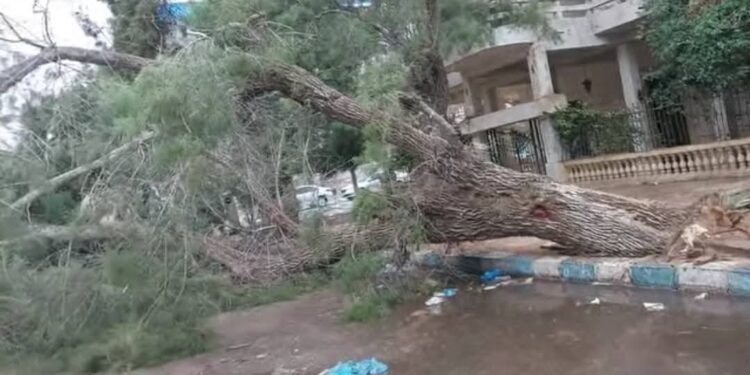 أمطار غزيرة تضرب مطروح والساحل الشمالي