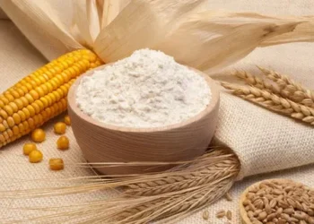 انخفاض أسعار القمح والذرة في بورصة شيكاجو بعد إعلان وقف إطلاق النار